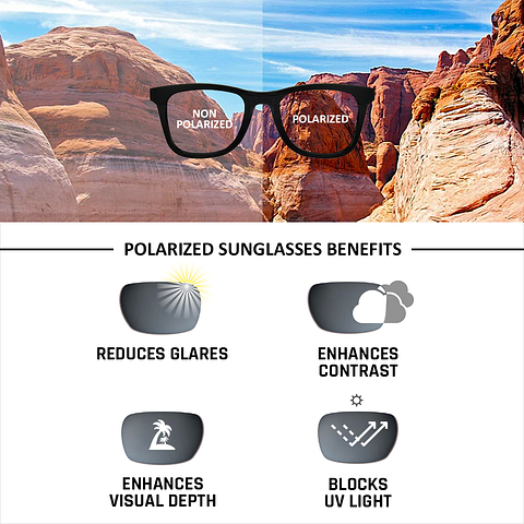 Vincent Chase Polarized Light Brown Full Rim Cat Eye left side